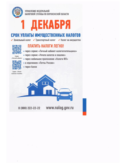 Срок уплаты имущественных налогов. Срок уплаты имущественных налогов.